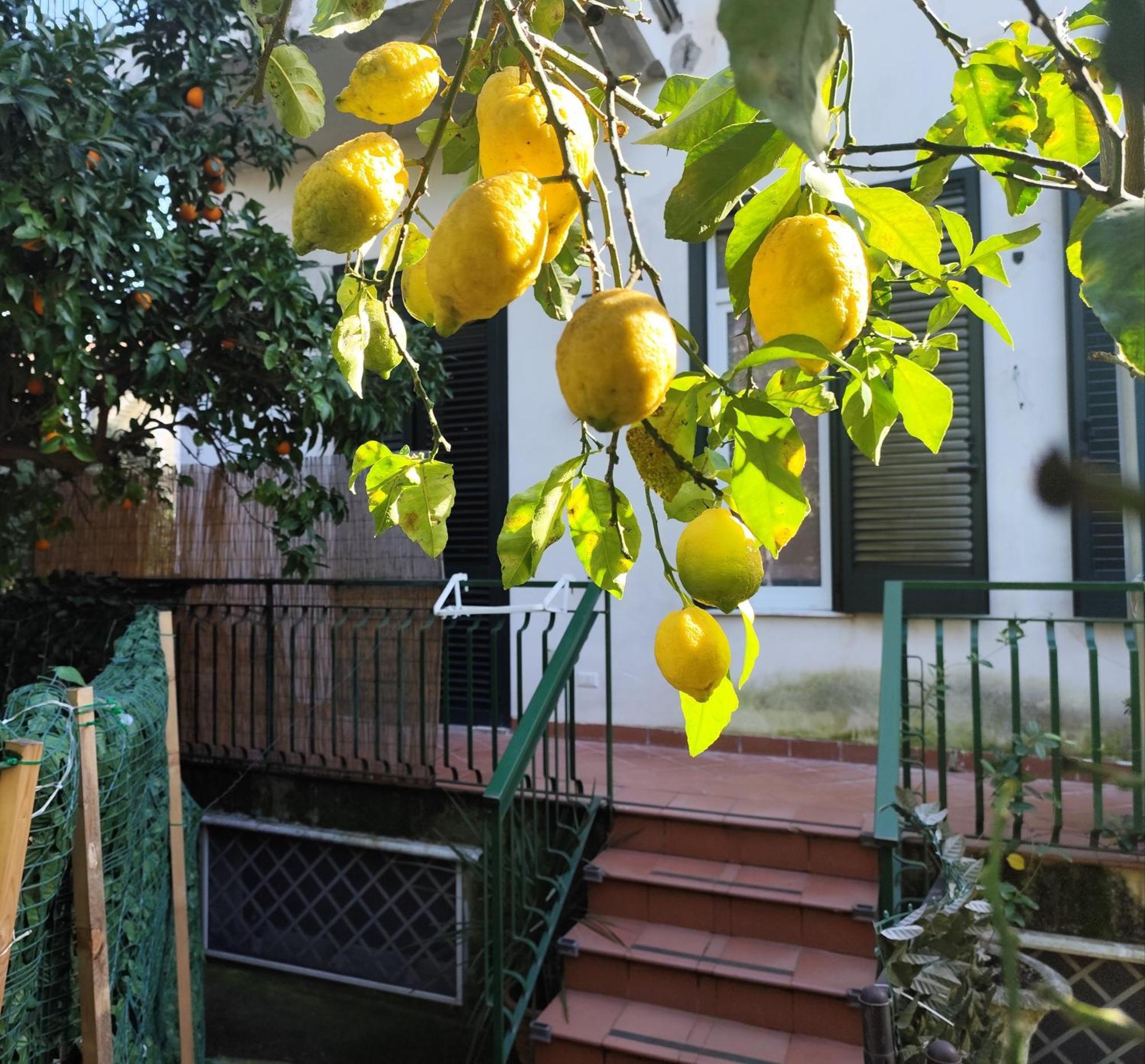 Beatrice Room Bed&Breakfast Sant'Agnello Ngoại thất bức ảnh